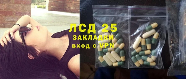 сатива Зерноград