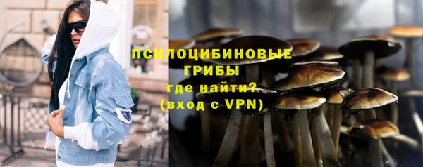 сатива Зерноград