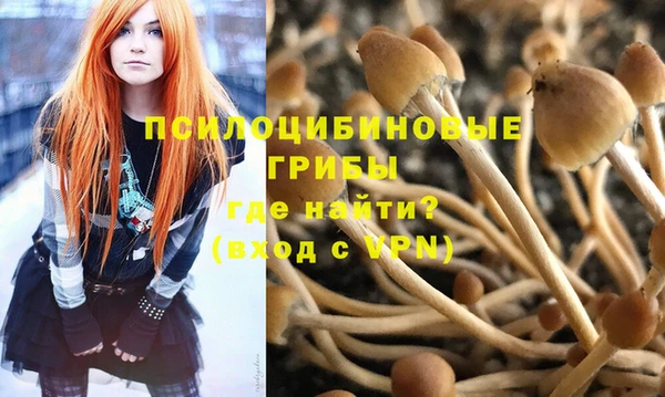 сатива Зерноград
