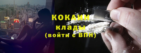 сатива Зерноград