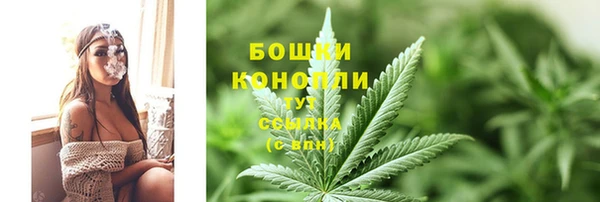 сатива Зерноград
